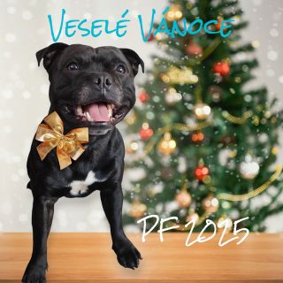 Veselé Vánoce a šťastný rok 2025 Hlavně hodně zdraví a štěstí, spousty času v kruhu svých blízkých ♥️ Zároveň moc děkujeme...
