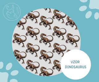 máte rádi dinosaury? Nebo mate dinosaurka doma? 😇 #artdog #dinosaur #homemade #obojek #pes #collar