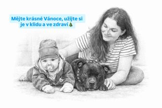 Moji milí, mockrát vám všem děkuji za přízeň a podporu. Mějte krásné Vánoce, užijte si je v klidu a ve zdraví🎄 #artdog...