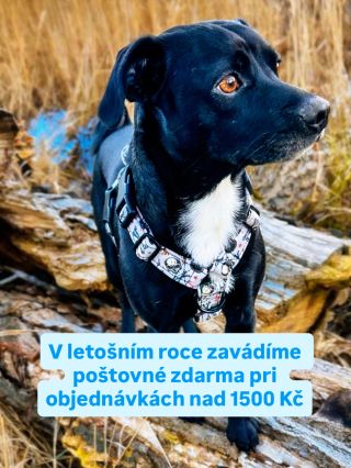 Dopravné zdarma nad 1.500 Kč! #zdarma #artdog